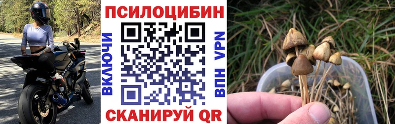 Псилоцибиновые грибы мицелий  как найти закладки  кракен маркетплейс  Заинск 