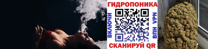 Марихуана план  купить наркоту  Заинск 